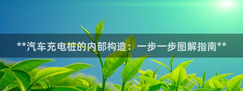 威廉希尔1.91有什么说法：**汽车充电桩的内部构造：一步一步图解指南**