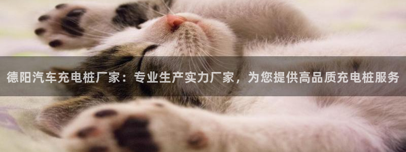 威廉希尔it：德阳汽车充电桩厂家：专业生产实力厂家，为您提供高品质充电桩服务