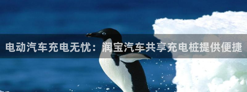 威廉体育官方：电动汽车充电无忧：润宝汽车共享充电桩提供便捷