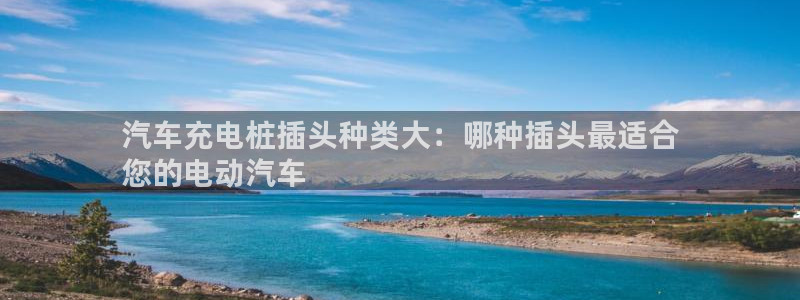 威廉希尔有限公司是国企吗：汽车充电桩插头种类大：哪种插头最适合
您的电动汽车