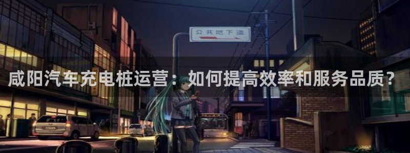 威廉希尔反波胆平台：咸阳汽车充电桩运营：如何提高效率和服务品质？
