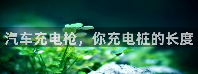 威廉希尔凯利指数特点：汽车充电枪，你充电桩的长度