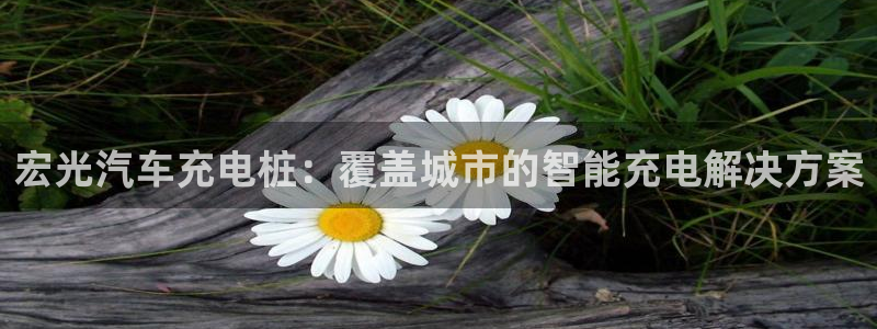威廉希尔斯：宏光汽车充电桩：覆盖城市的智能充电解决方案