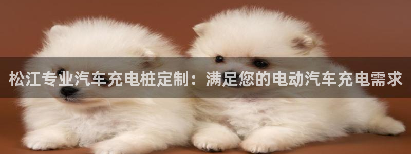 威廉希尔操盘手：松江专业汽车充电桩定制：满足您的电动汽车充电需求