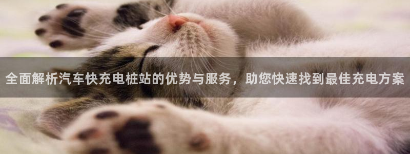 威廉希尔一年赚多少钱：全面解析汽车快充电