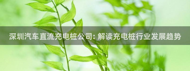 威廉娱乐2023官方版-5.06 InURl:fayunsi：深圳汽车直流充电桩公司: 解读充电桩行业发展趋势
