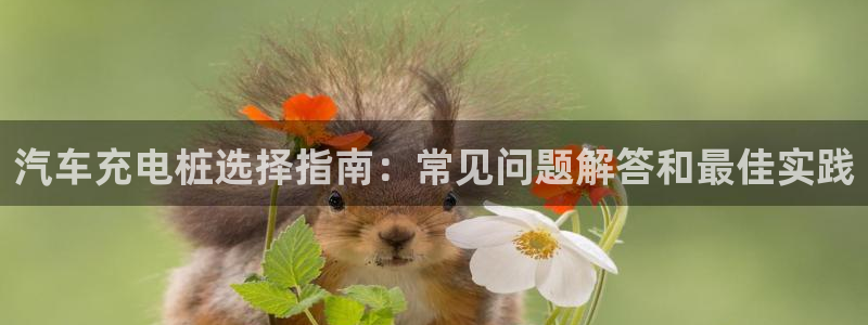 威廉希尔美国控股：汽车充电桩选择指南：常见问题解答和最佳实践