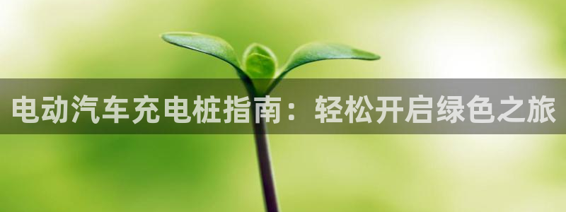 澳门威廉对比：电动汽车充电桩指南：轻松开启绿色之旅