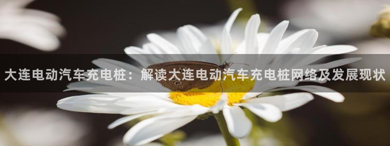 威廉希尔144初赔：大连电动汽车充电桩：解读大连电动汽车充电桩网络及发展现状