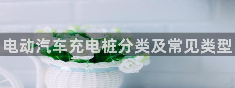 威廉希尔没有返水嘛：电动汽车充电桩分类及常见类型