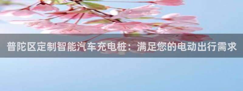 威廉希尔 1.95 3.40 3.30：普陀区定制智能汽车充电桩：满足您的电动出行需求