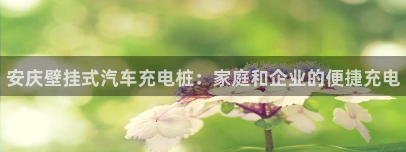 威廉希尔平局规律：安庆壁挂式汽车充电桩：家庭和企业的便捷充电