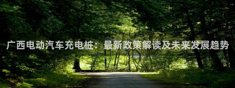 威廉希尔不开盘的比赛有哪些：广西电动汽车充电桩：最新政策解读及未来发展趋势