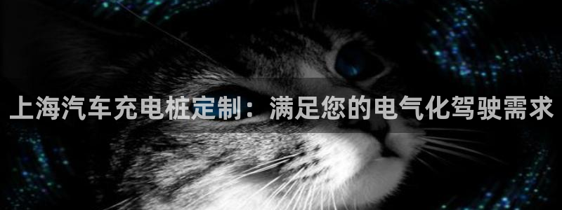 德乙澳门威廉：上海汽车充电桩定制：满足您