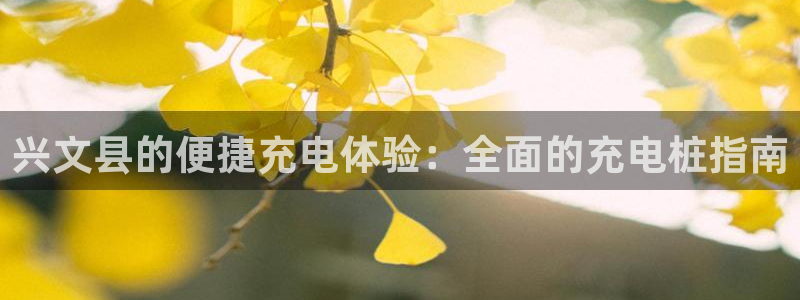 威廉健身管理咨询有限公司：兴文县的便捷充