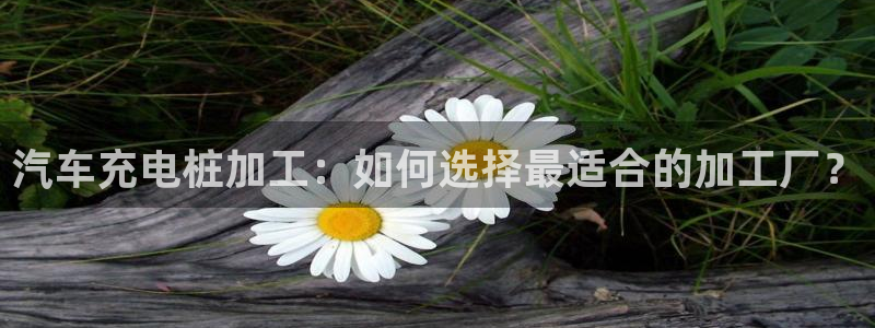 威廉希尔浏览器5.5.2：汽车充电桩加工：如何选择最适合的加工厂？