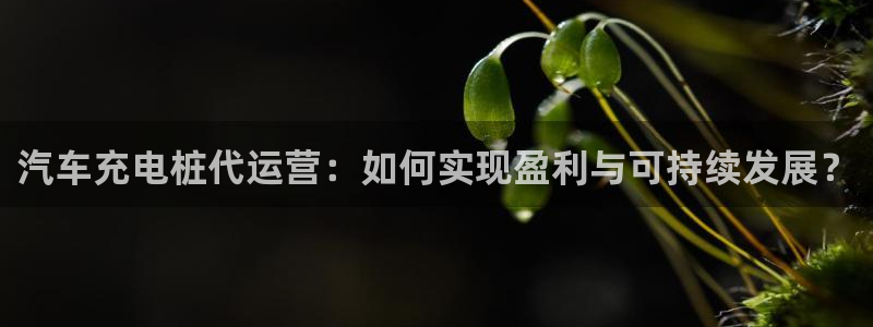 威廉希尔小球准不准：汽车充电桩代运营：如