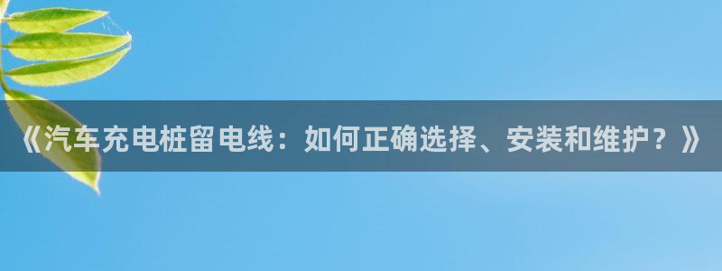 威廉官网首页：《汽车充电桩留电线：如何正确选择、安装和维护？》