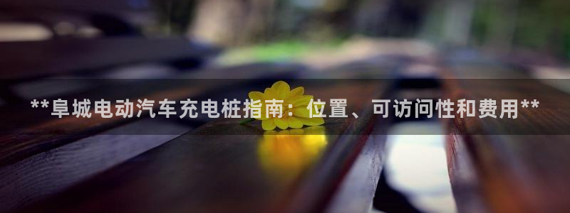 在威廉希尔网站买球可以吗：**阜城电动汽车充电桩指南：位置、可访问性和费用**