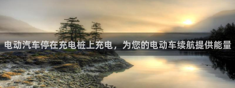 威廉希尔的分析方法 2.25：电动汽车停在充电桩上充电，为您的电动车续航提供能量