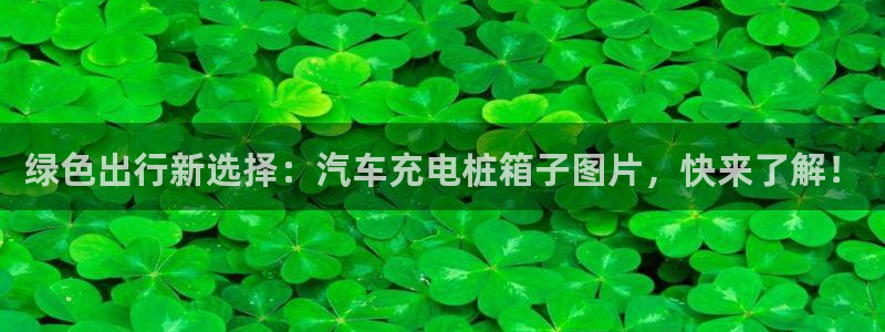 威廉希尔分析和结论：绿色出行新选择：汽车充电桩箱子图片，快来了解！