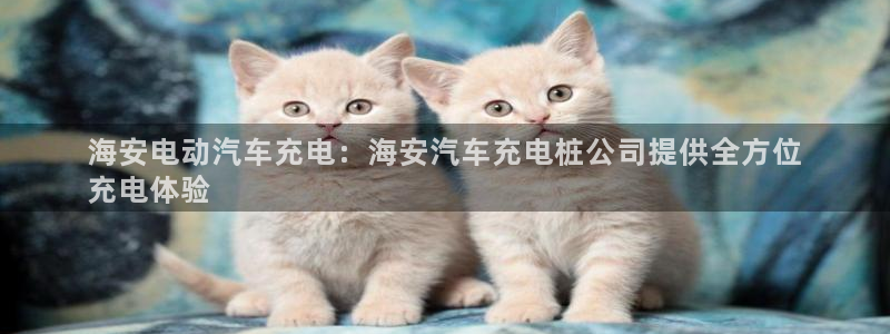 威廉体育官方app下载安卓苹果：海安电动