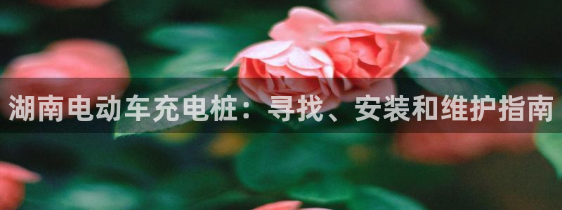 威廉希尔大小球对应水位：湖南电动车充电桩