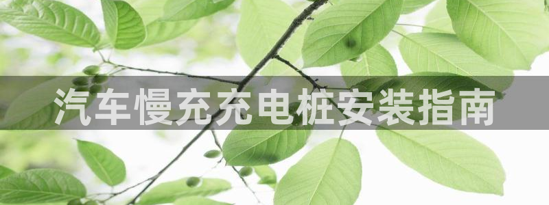 威廉希尔1.44 4.20 7.50：汽