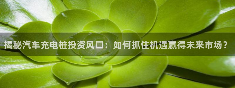 威廉希尔500欧洲指数：揭秘汽车充电桩投资风口：如何抓住机遇赢得未来市场？