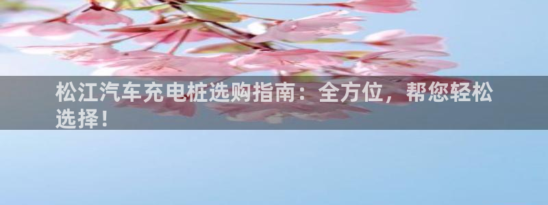 威廉指数详解：松江汽车充电桩选购指南：全