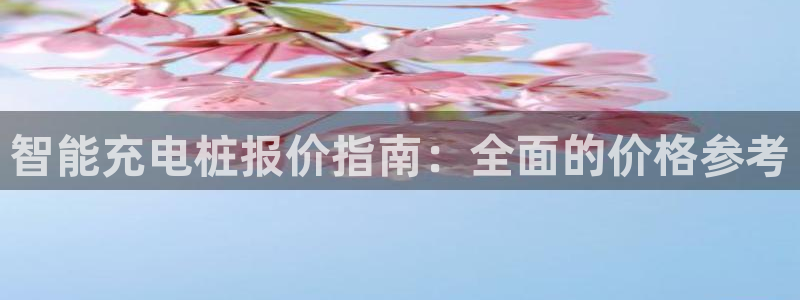 威廉指标是哪个：智能充电桩报价指南：全面